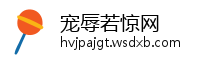 宠辱若惊网